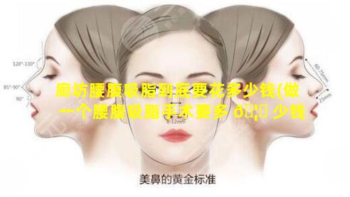 廊坊腰腹吸脂到底要花多少钱(做一个腰腹吸脂手术要多 🦟 少钱)